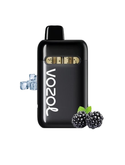 VOZOL NEON PLUG MAX | BLACKBERRY ICE 36k