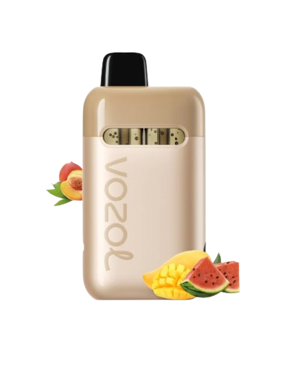 VOZOL NEON PLUG MAX | PEACH MANGO WATERMELON 36k