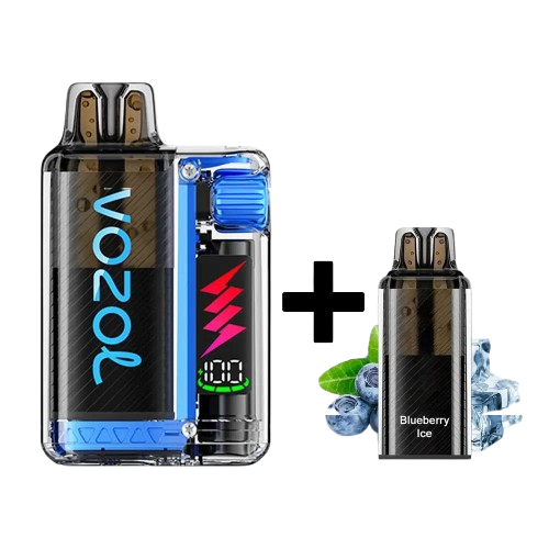 VOZOL VISTA Plug Starter KIT – Blueberry ICE