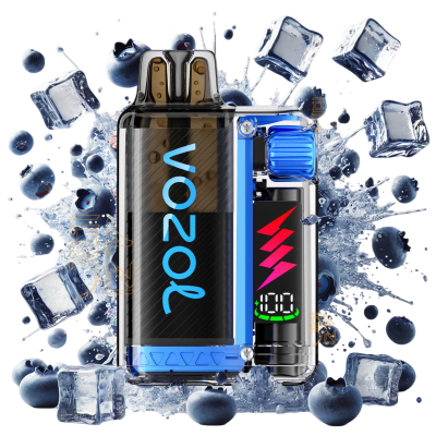 VOZOL VISTA PLUG 10'000 | BLUEBERRY ICE