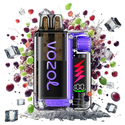 VOZOL VISTA PLUG 10'000 | GRAPE ICE